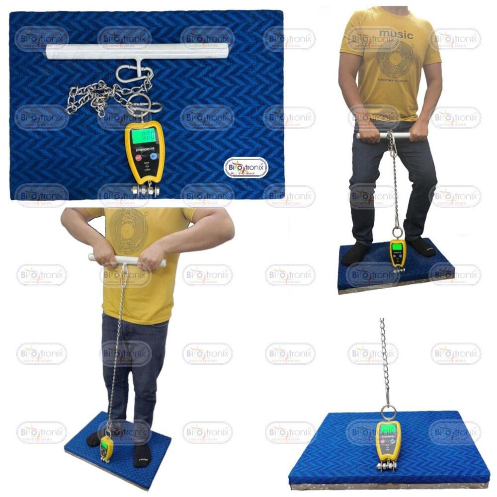 Back, Leg and Chest Dynamometer for Scientific Muscle Strength Testing