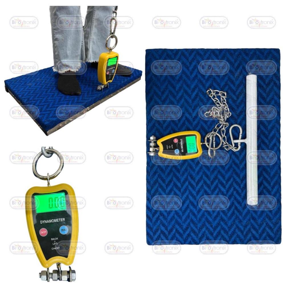 Back, Leg and Chest Dynamometer for Scientific Muscle Strength Testing
