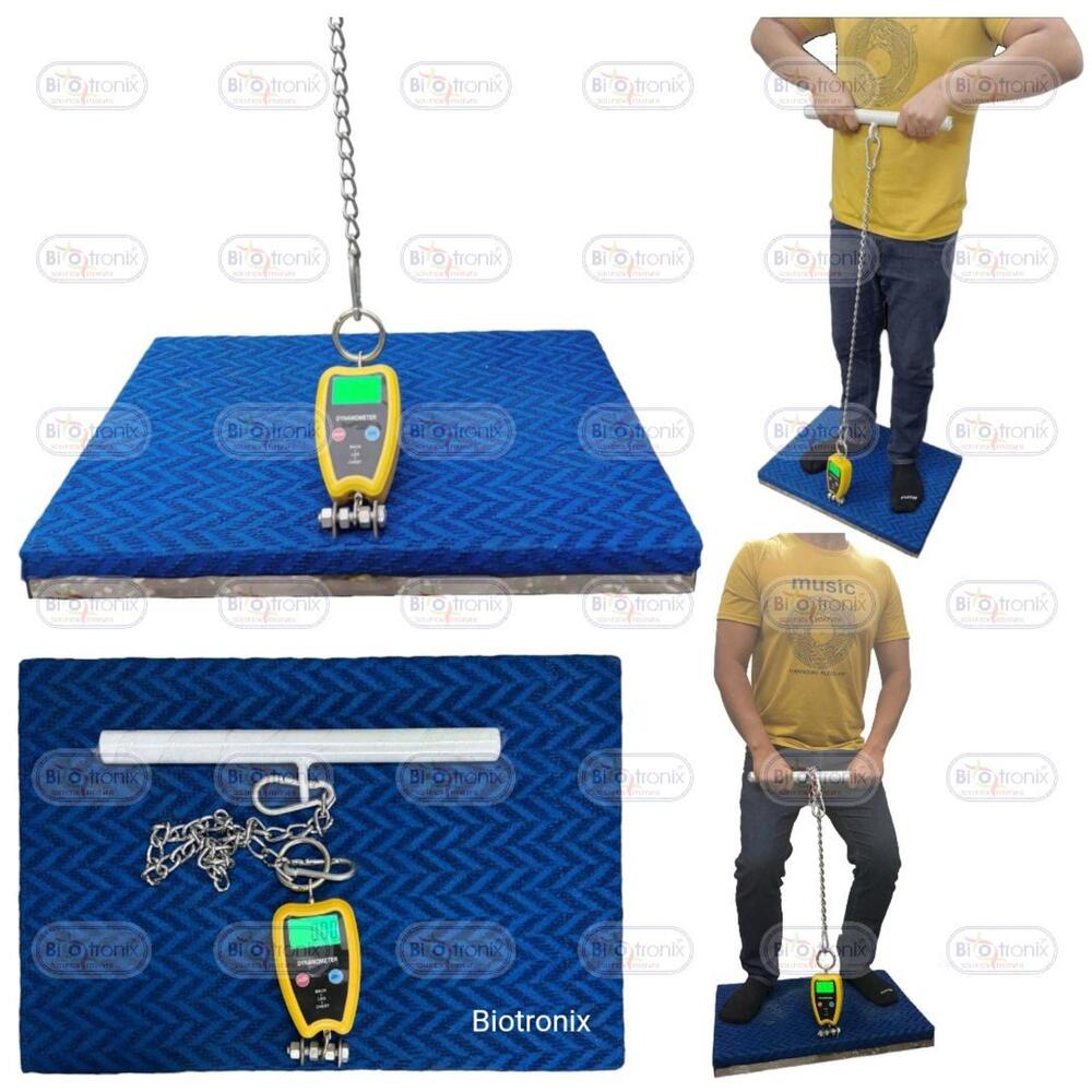 Professional Back Leg Chest Dynamometer for Accurate Rehab Monitoring