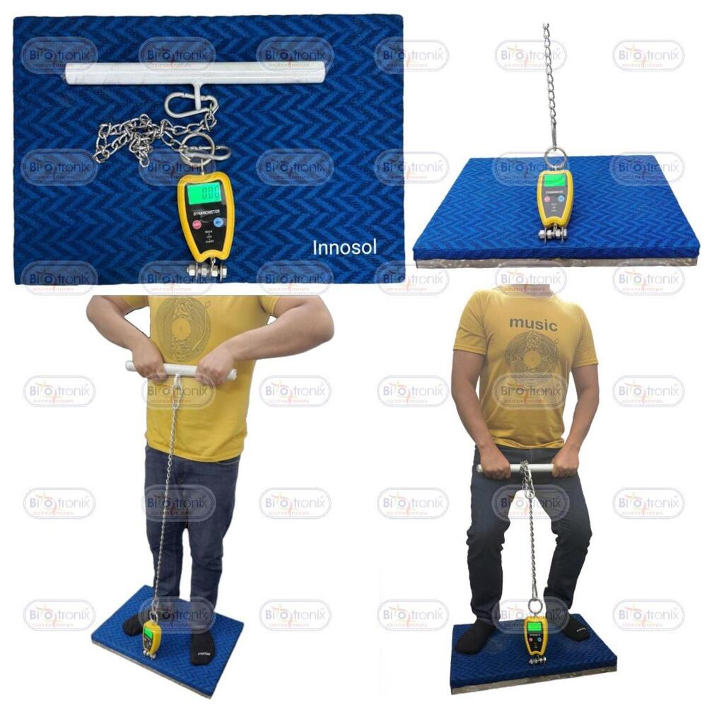 Professional Back Leg Chest Dynamometer for Accurate Rehab Monitoring