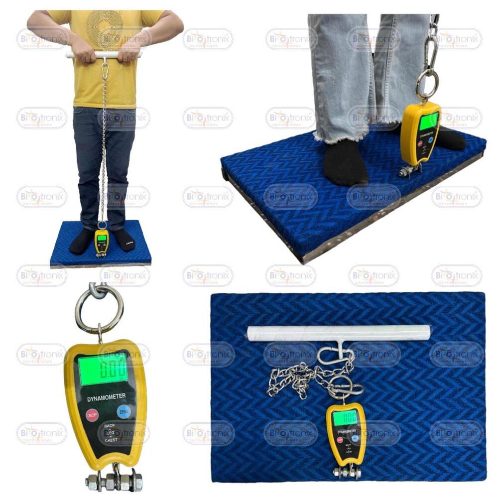 Professional Back Leg Chest Dynamometer for Accurate Rehab Monitoring
