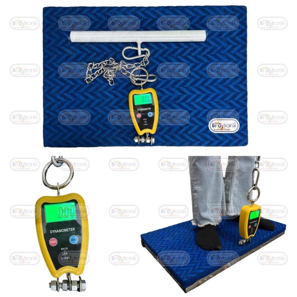 Professional Back Leg Chest Dynamometer for Accurate Rehab Monitoring
