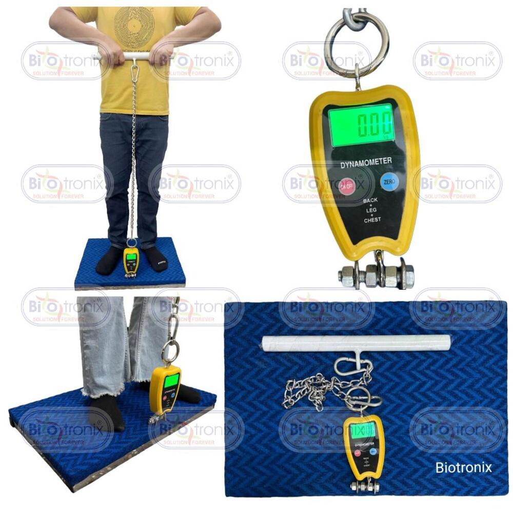 Precision Back Leg Chest Dynamometer for Physiotherapy & Sports Clinics