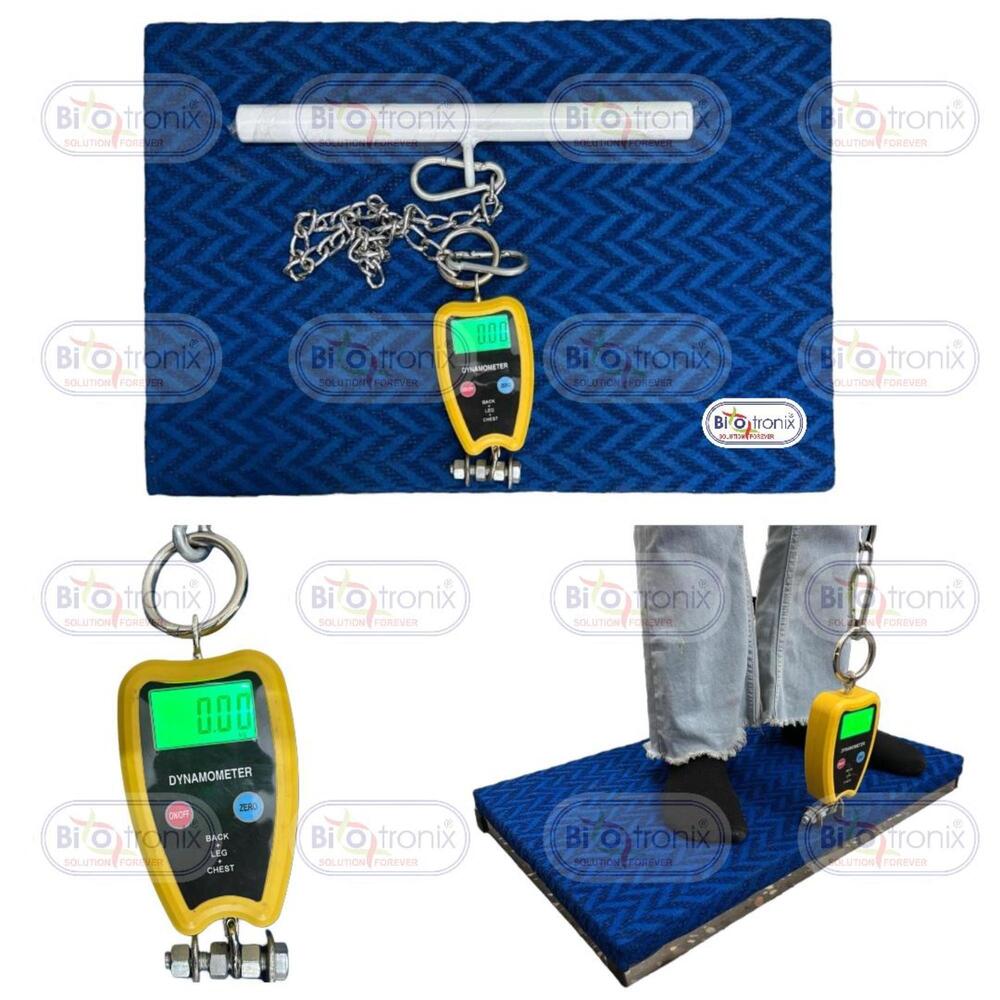 Precision Back Leg Chest Dynamometer for Physiotherapy & Sports Clinics