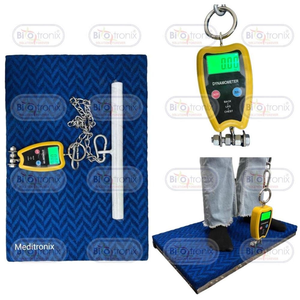 Precision Back Leg Chest Dynamometer for Physiotherapy & Sports Clinics