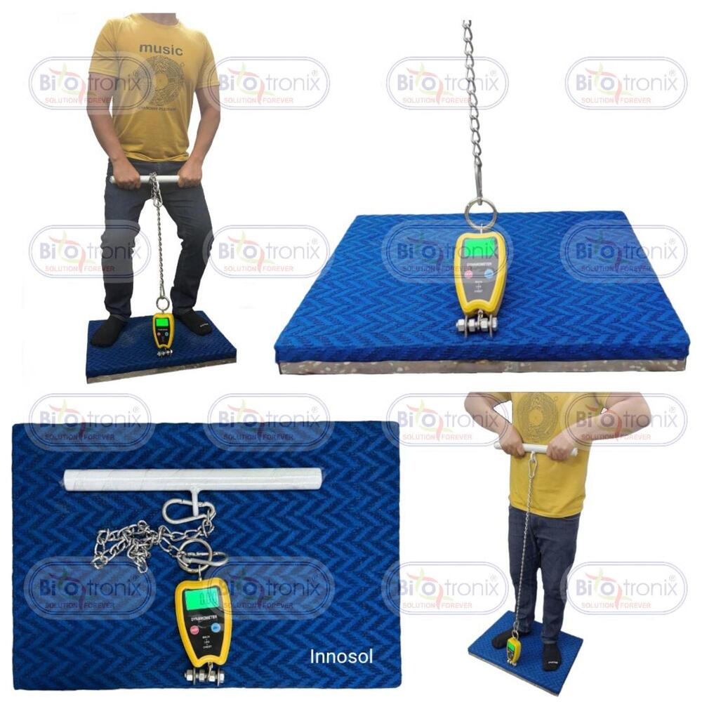 Back Leg Chest Muscle Strength Analyzer for Rehabilitation Assessment