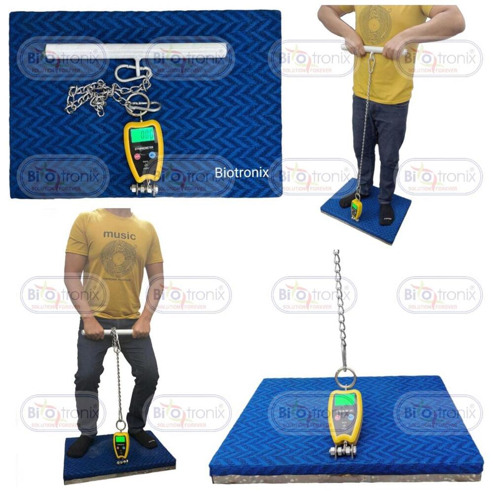 Back Leg Chest Muscle Strength Analyzer for Rehabilitation Assessment