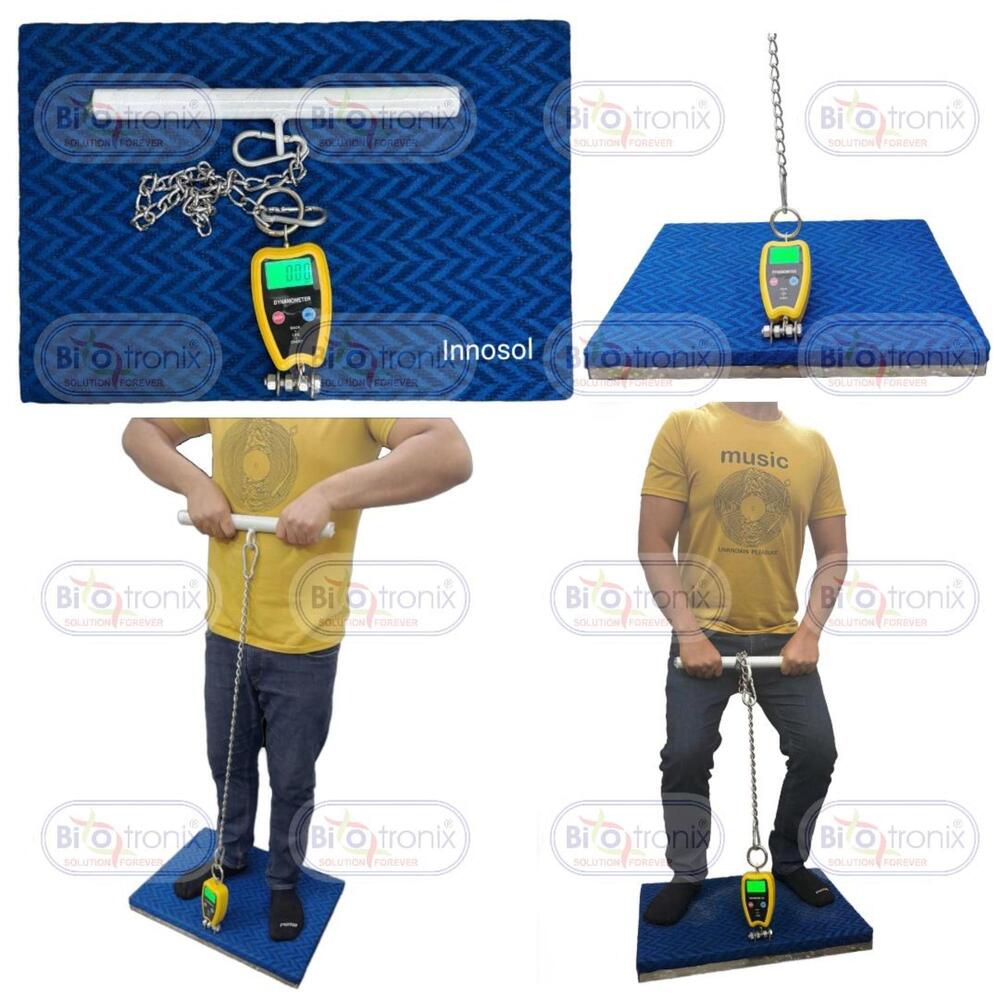 Back Leg Chest Muscle Strength Analyzer for Rehabilitation Assessment