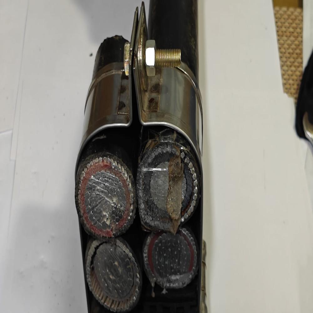 Quatrefoil Clamps Cleats