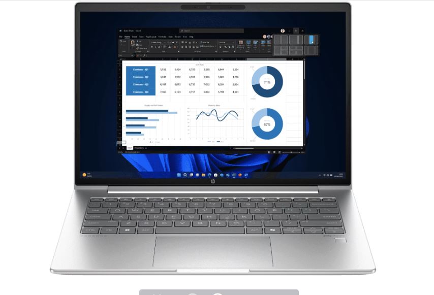 HP probook 445 G11    