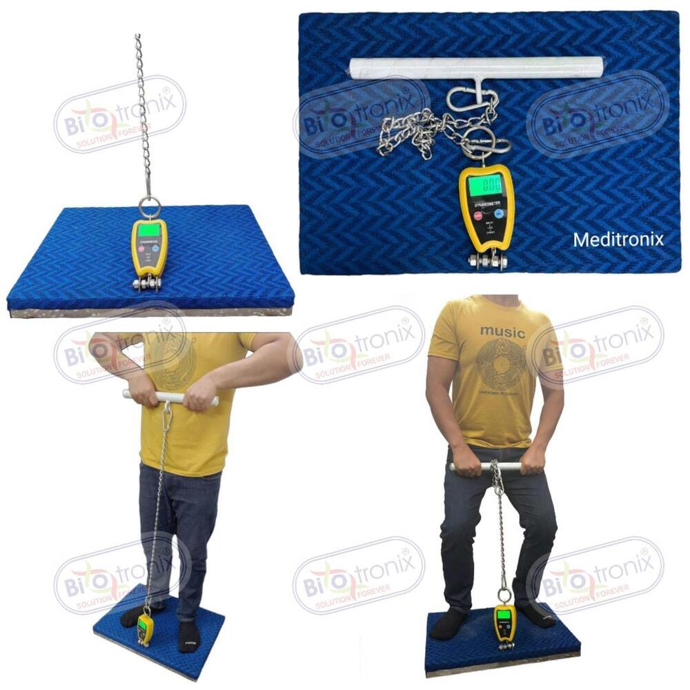 Professional Back Leg Chest Strength Testing Device for Clinics
