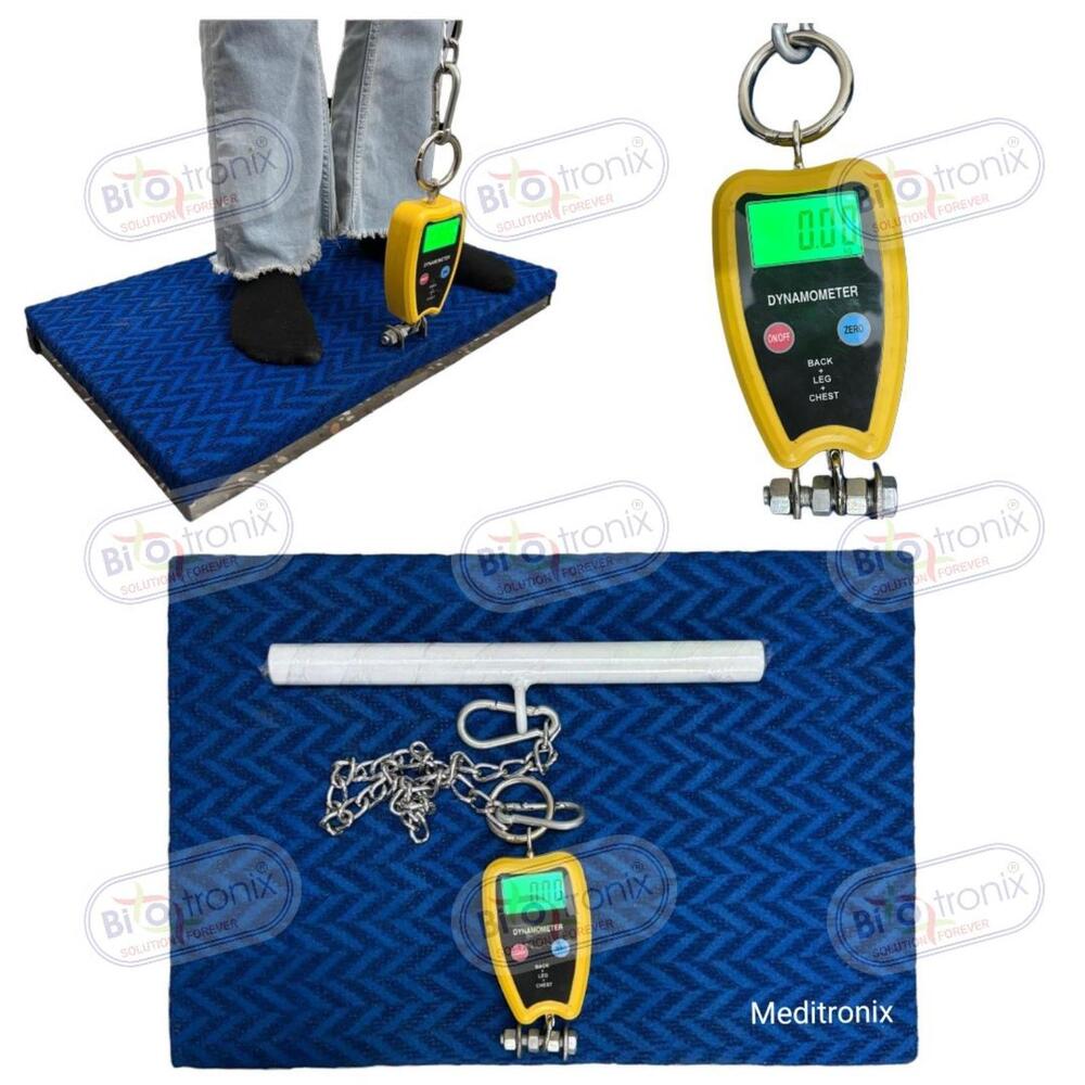 Professional Back Leg Chest Strength Testing Device for Clinics