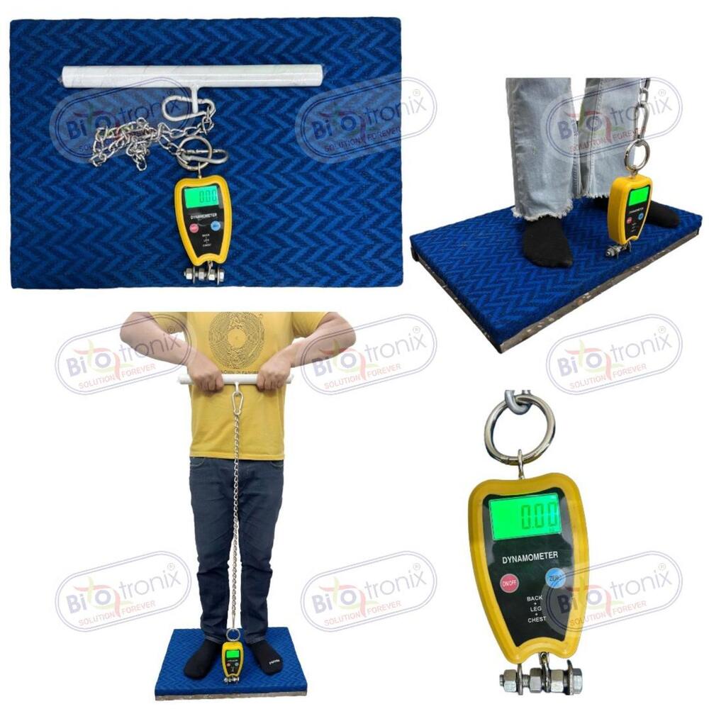 Professional Back Leg Chest Strength Testing Device for Clinics
