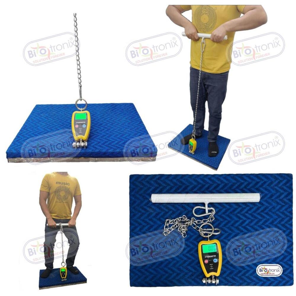 Professional Back Leg Chest Strength Testing Device for Clinics