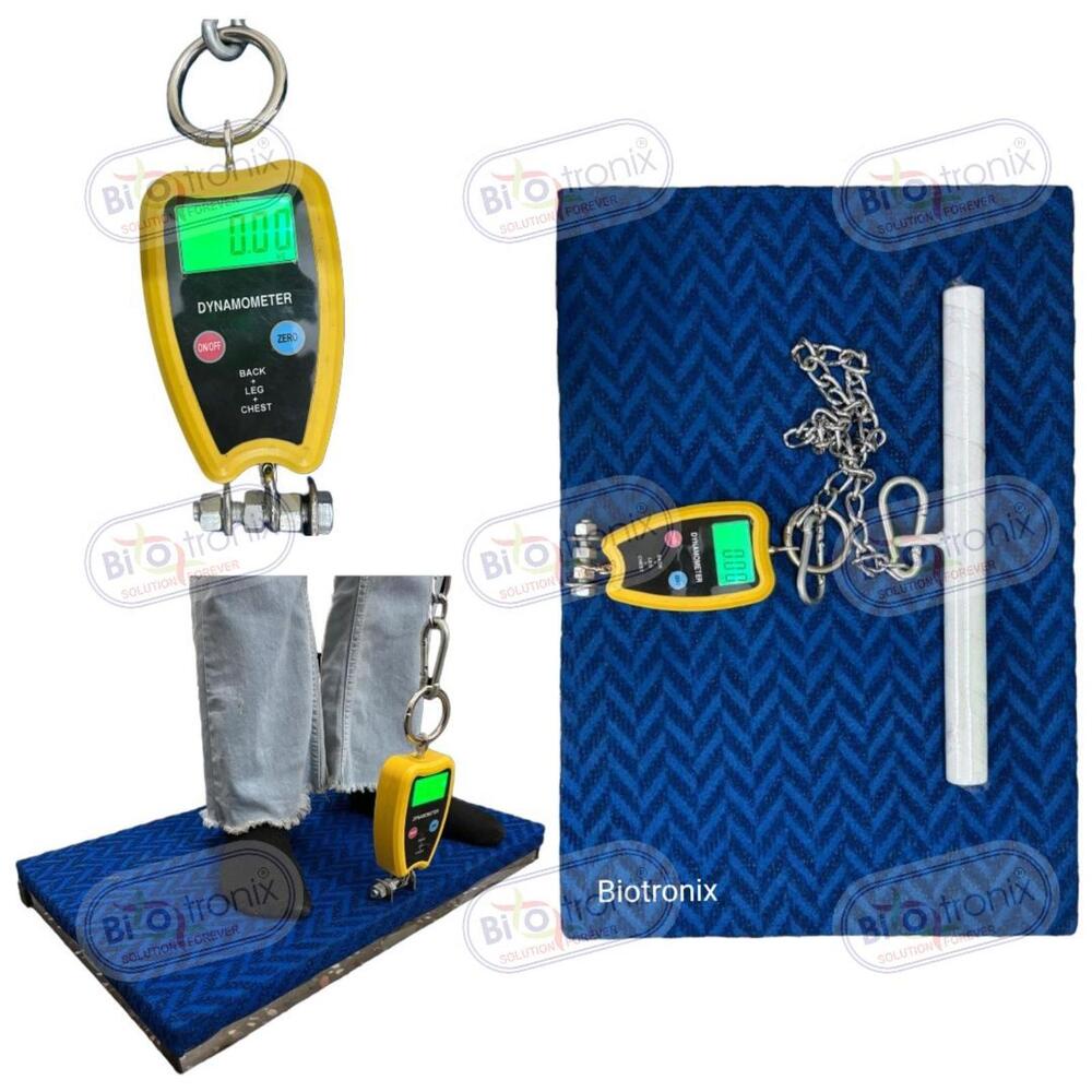 Professional Back Leg Chest Strength Testing Device for Clinics