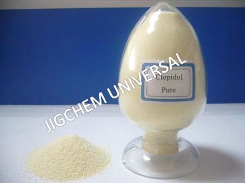 व्हाइट क्लोपिडॉल