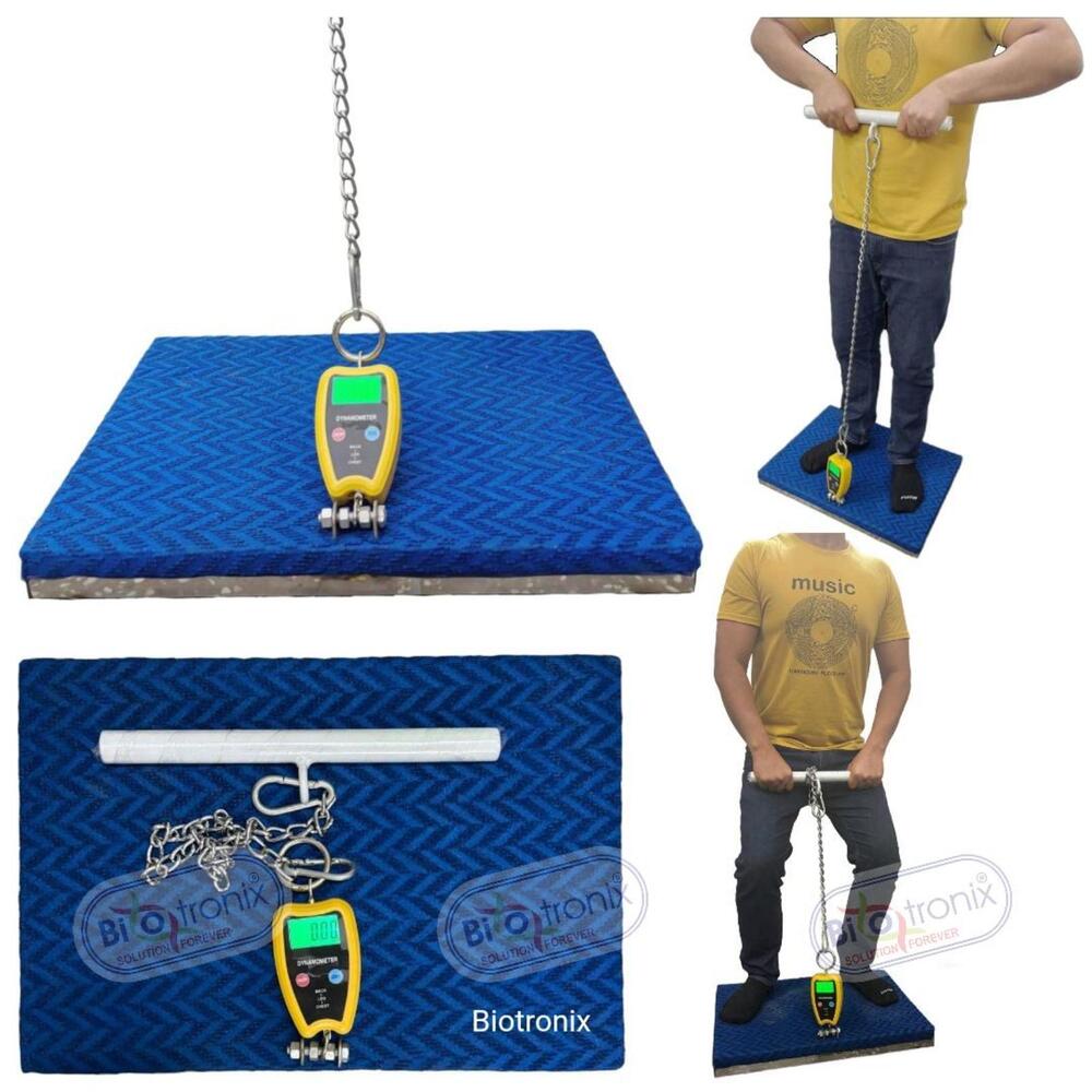 Back Leg Chest Dynamometer for Functional Strength Evaluation