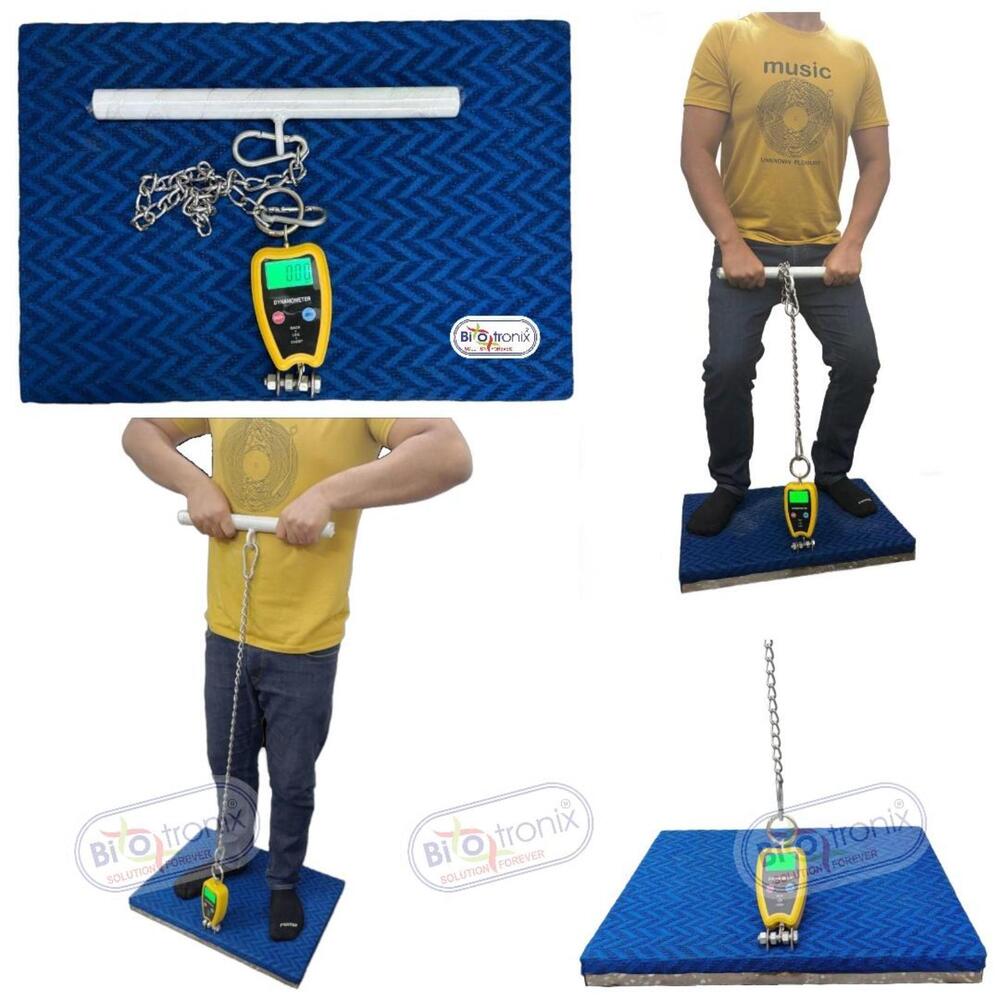 Back Leg Chest Dynamometer for Functional Strength Evaluation