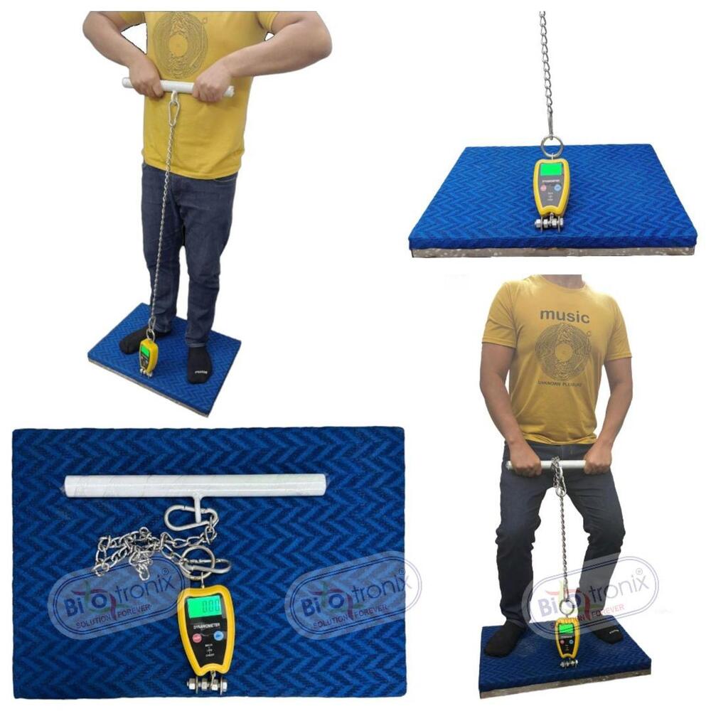 Back Leg Chest Dynamometer for Functional Strength Evaluation