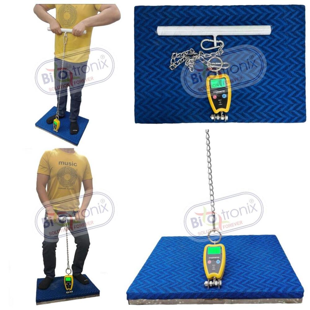 Advanced Muscle Strength Testing System-Back, Leg & Chest
