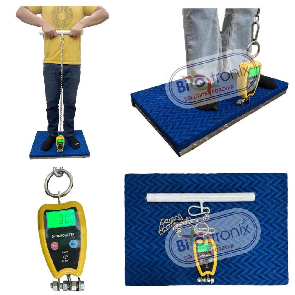 Physiotherapy Grade Back Leg Chest Dynamometer for Daily Practice