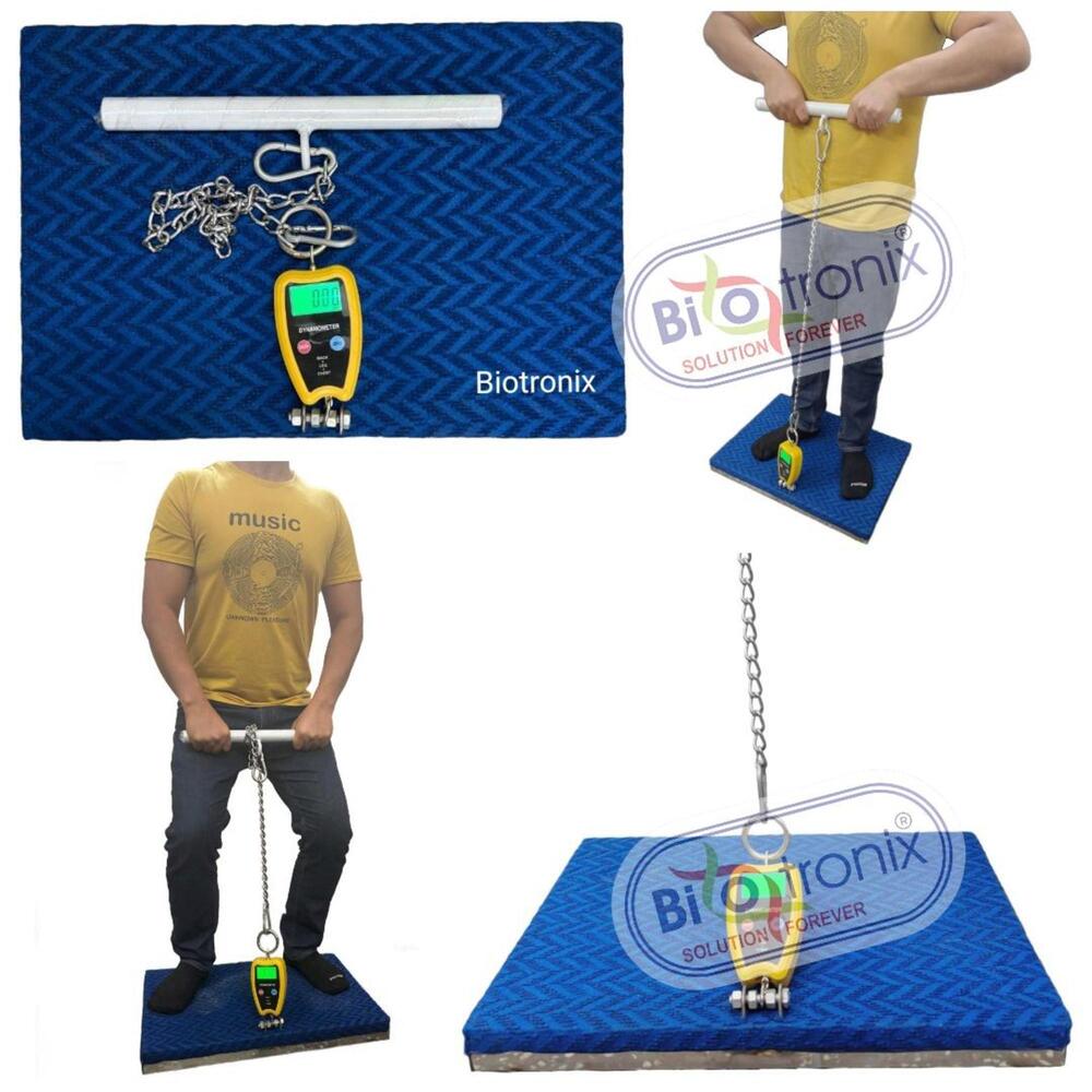 Physiotherapy Grade Back Leg Chest Dynamometer for Daily Practice