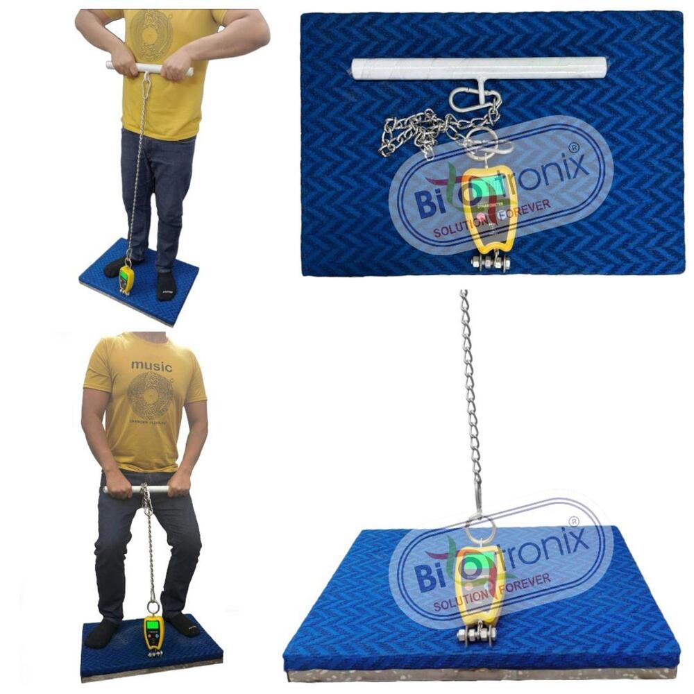 Physiotherapy Grade Back Leg Chest Dynamometer for Daily Practice