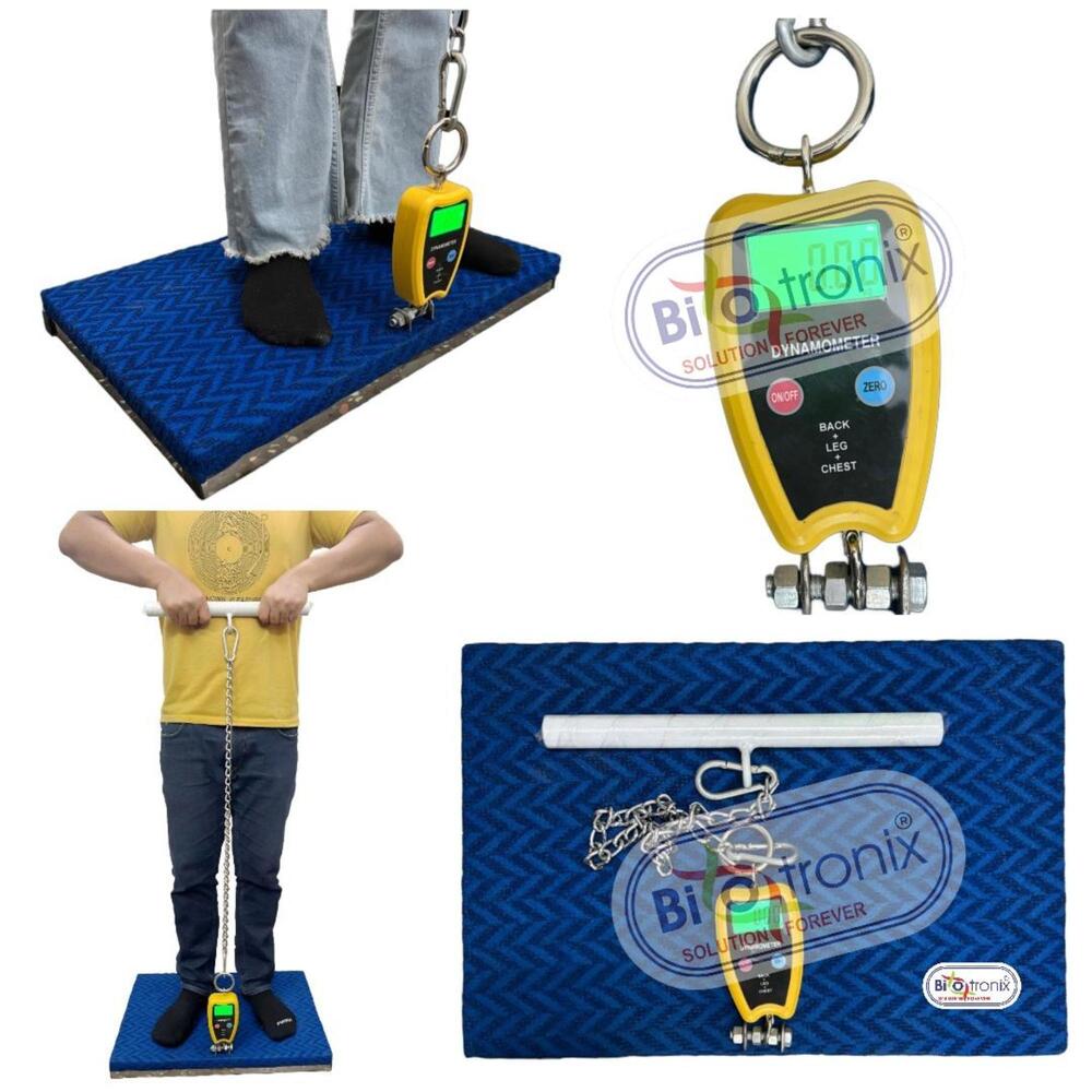 Physiotherapy Grade Back Leg Chest Dynamometer for Daily Practice