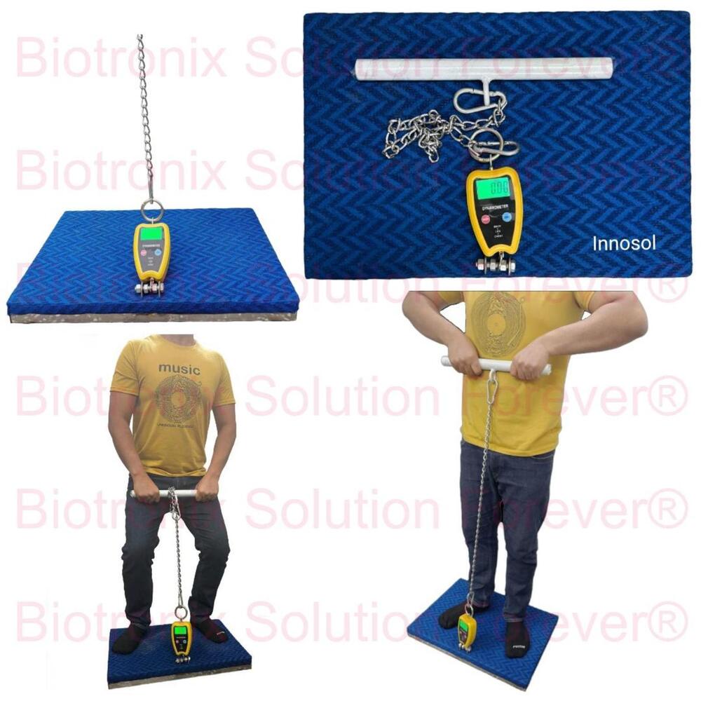 Back, Leg And Chest Dynamometer For Clinical & Field Strength Testing - Age Group: Children