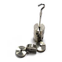 100 Gm X 10 Brass Chromed Slotted Weight Set - Color: Silver