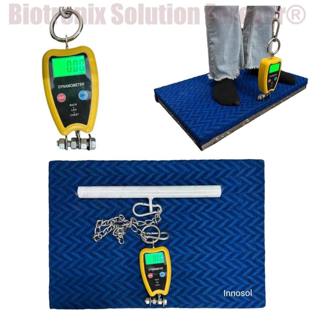 Back, Leg and Chest Strength Evaluation System for Professionals