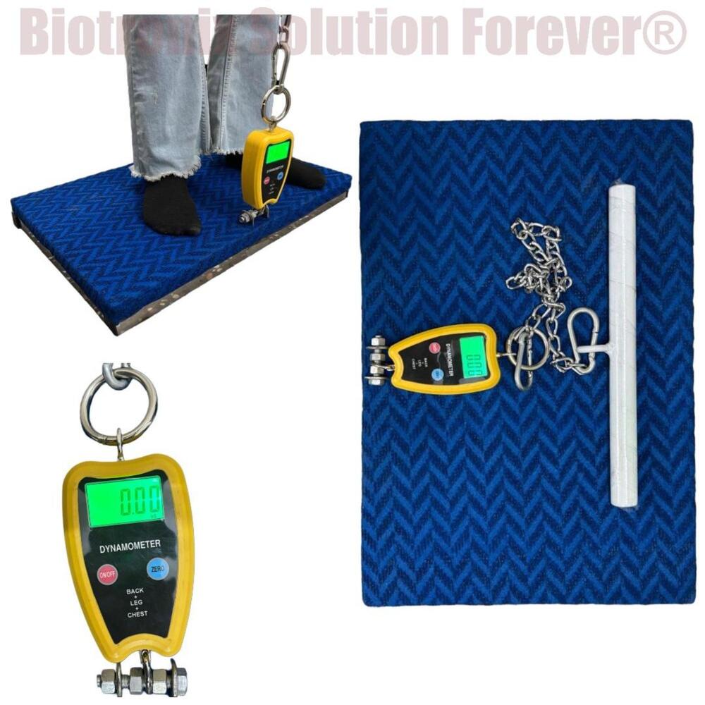 Back, Leg and Chest Strength Evaluation System for Professionals