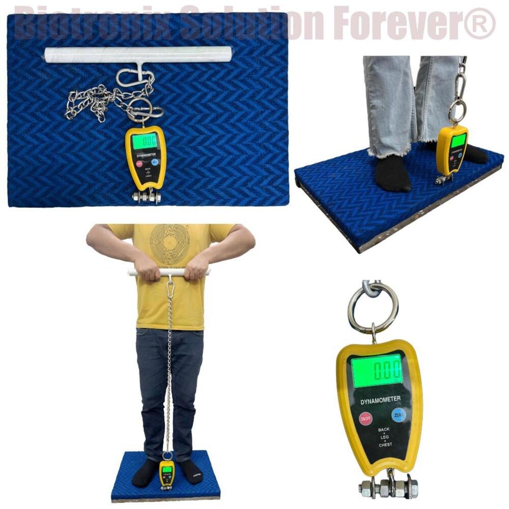 Back, Leg and Chest Strength Evaluation System for Professionals