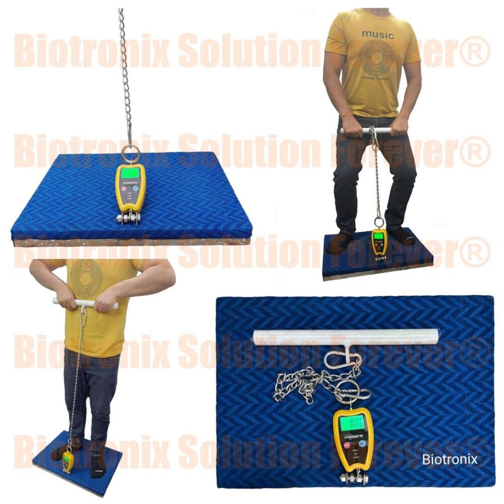 Back Leg Chest Dynamometer for Fitness, Rehab & Performance Testing