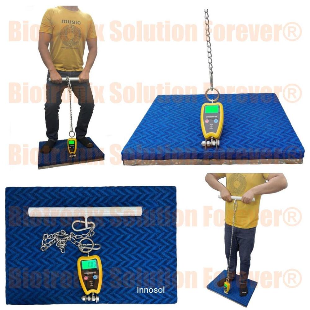 Back Leg Chest Dynamometer for Fitness, Rehab & Performance Testing