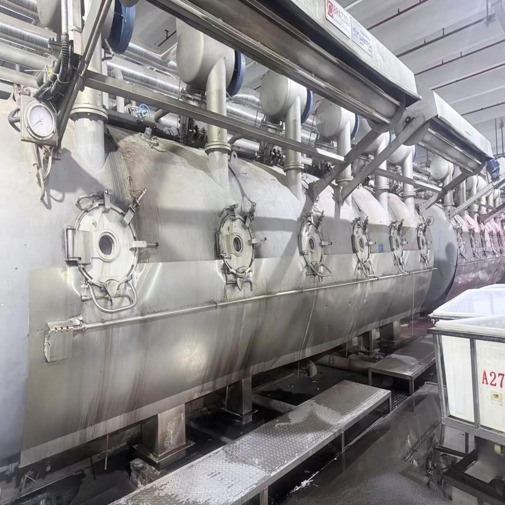 Brazzoli Dyeing Machine - Manufacturing Year: 2012 Years