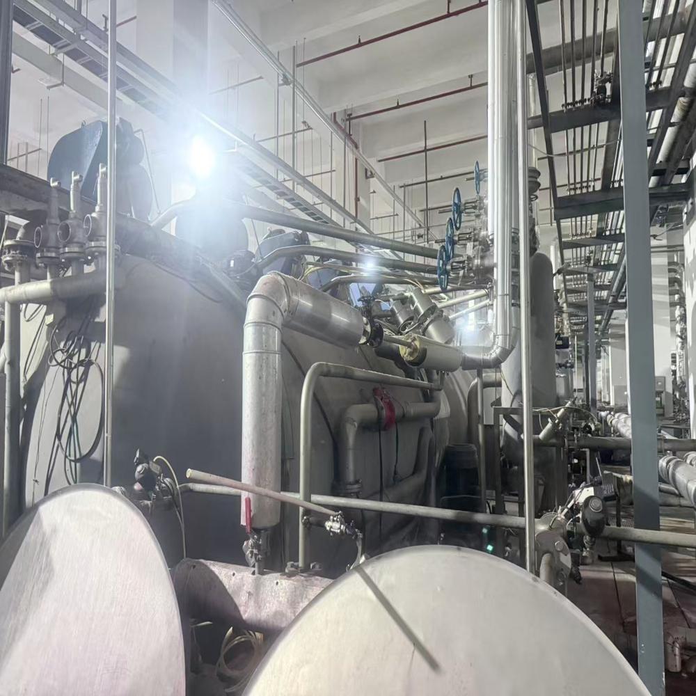 Brazzoli dyeing machine