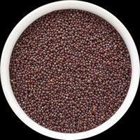 Black Mustard - Admixture (%): No
