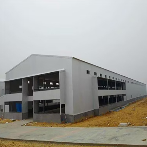 Prefabricated Poultry Shed