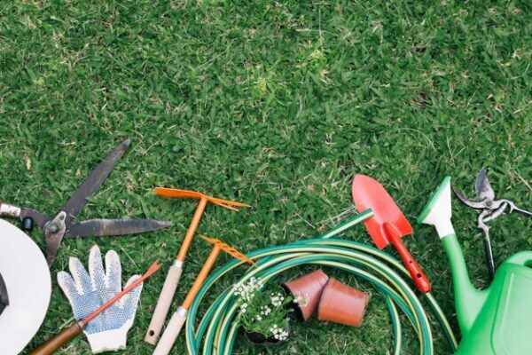 Garden Maintenance Services
