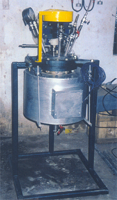 10 Litre Electrically Heated Pilot Reactor for Hydrogenenation
