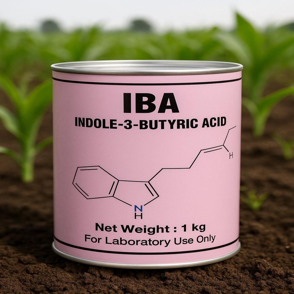 Iba (indole -3-butyric Acid ) Powder-ws/ss - Color: White