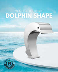 Dolphine Shape Water Decent - Application: Pool