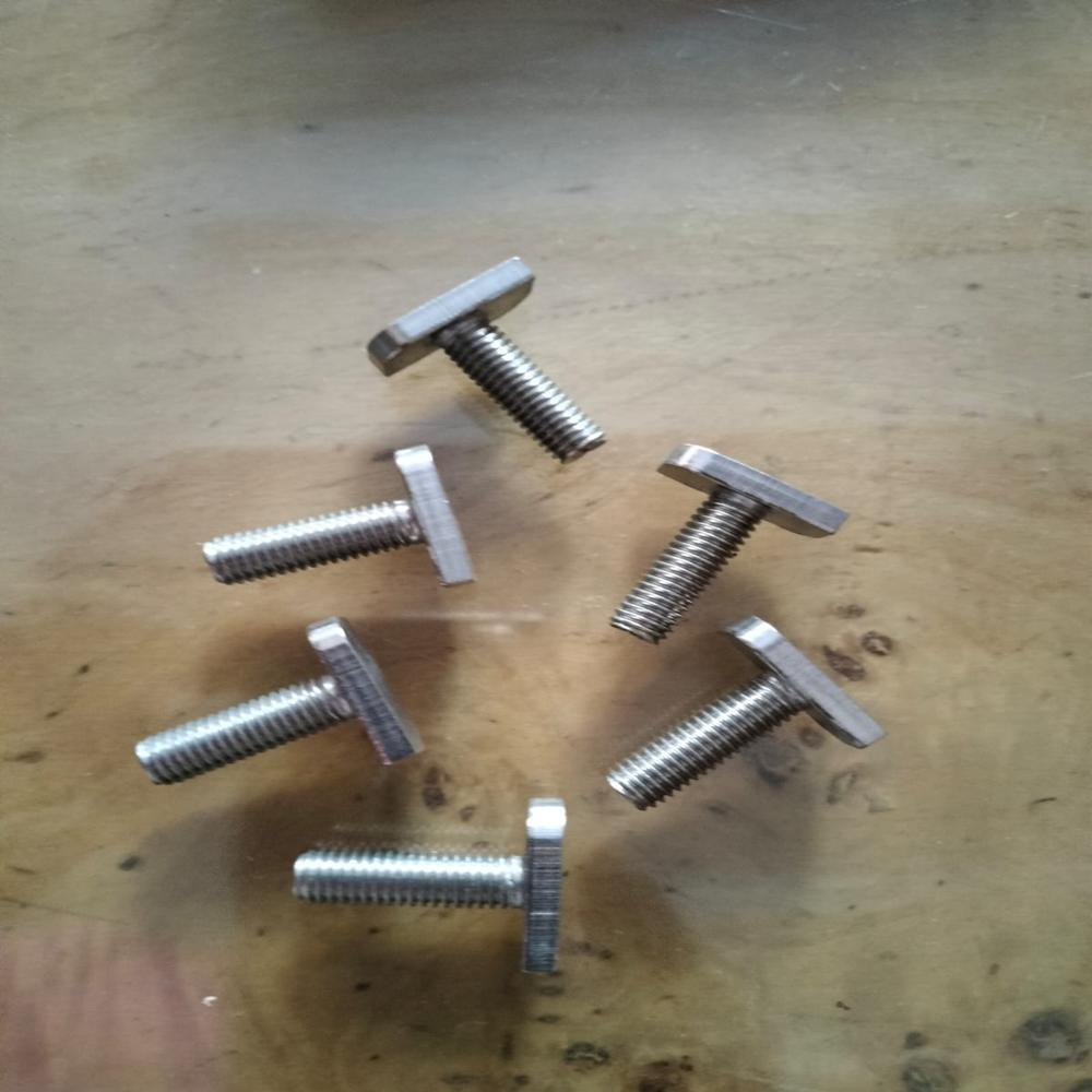 Stainless Steel T Bolt - Color: Silver
