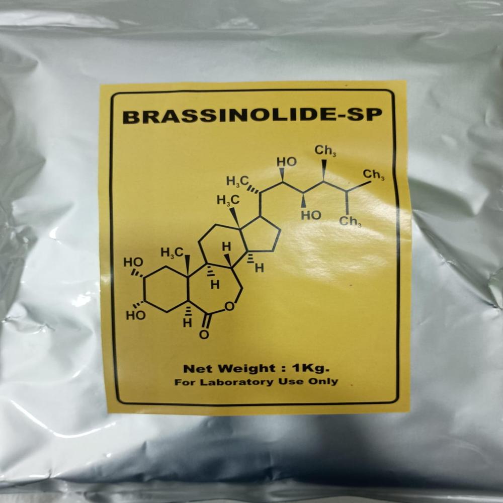 Brassinolide 0.01% Sp - Color: White