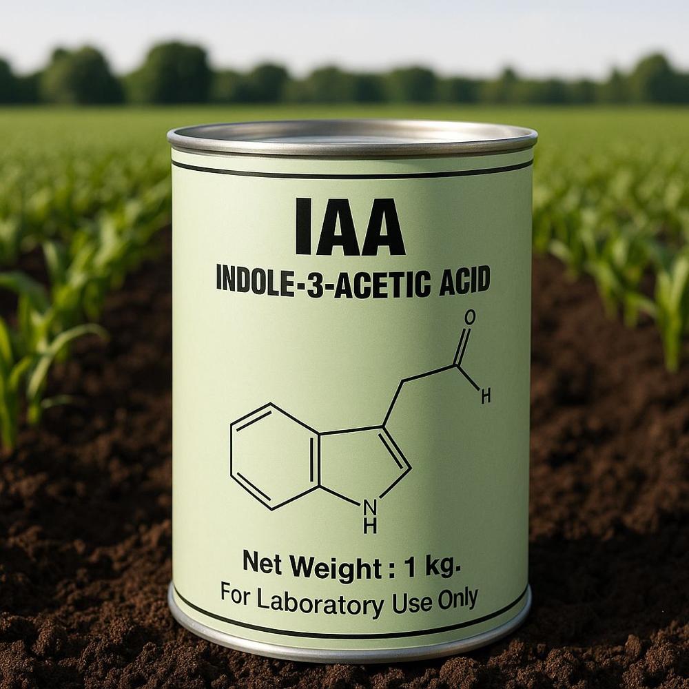 Iaa Indole 3 - Color: White