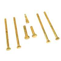Brass Industrial Fastener - Color: Golden