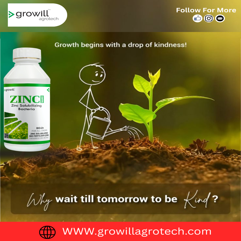 Zinc Solubilizing Bio Fertilizer (ZSB)