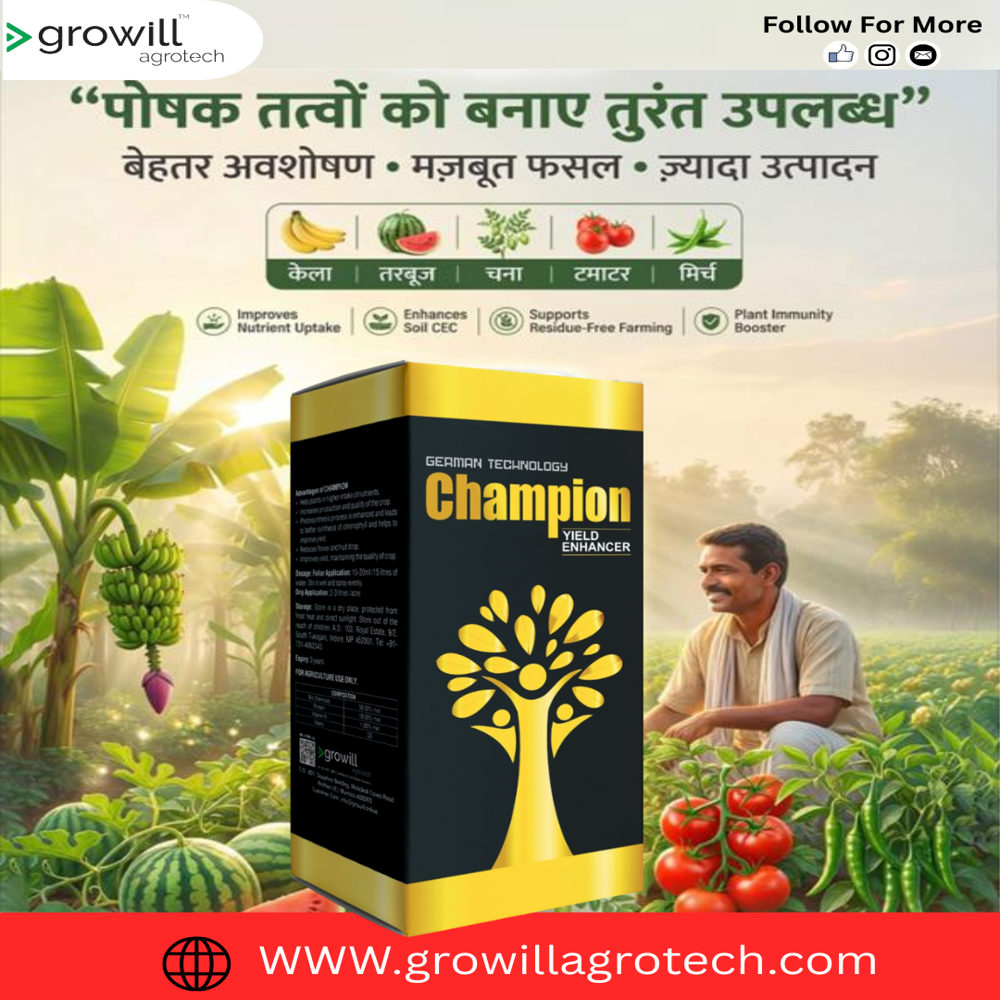 CHAMPION Protine Hydrolysates