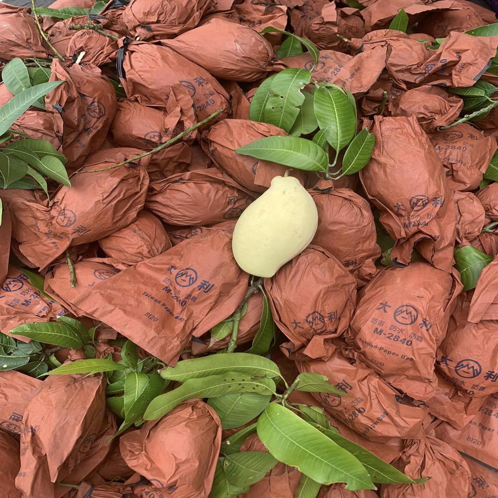 Fruit Protection Bags